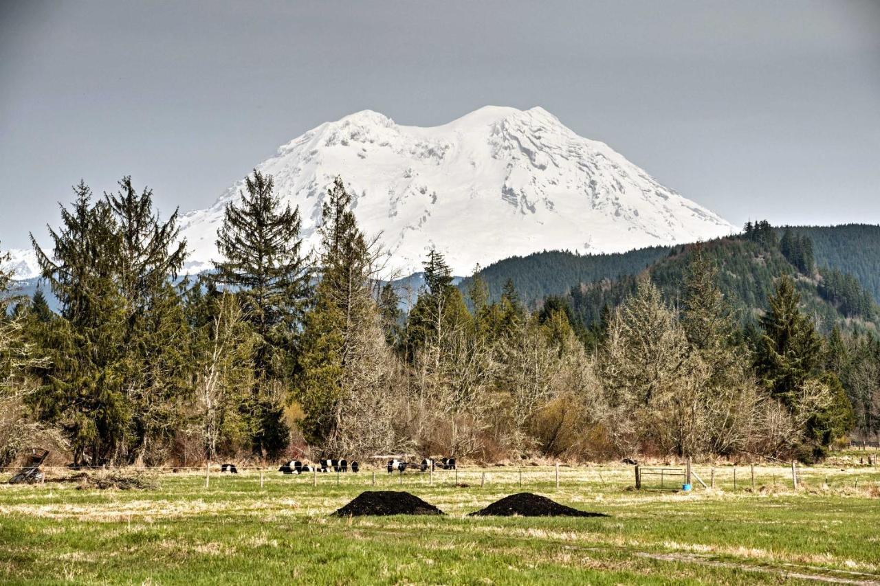 Serene Washington Escape With Deck And Mountain Views! Packwood Eksteriør billede